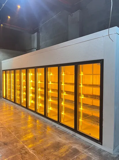 in-C017 Good Quality Pulse Oximeter Testing SpO2 Pulse Oximeter Finger with Cheap Price